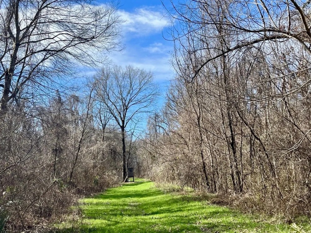 171 - Acres of Farm and Timber land in Madison Parish featured image
