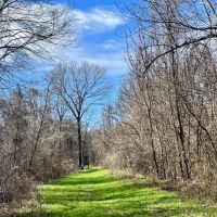 171 - Acres of Farm and Timber land in Madison Parish images 1