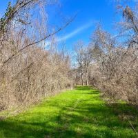 171 - Acres of Farm and Timber land in Madison Parish images 2