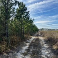 Duval Pond 160 images 2