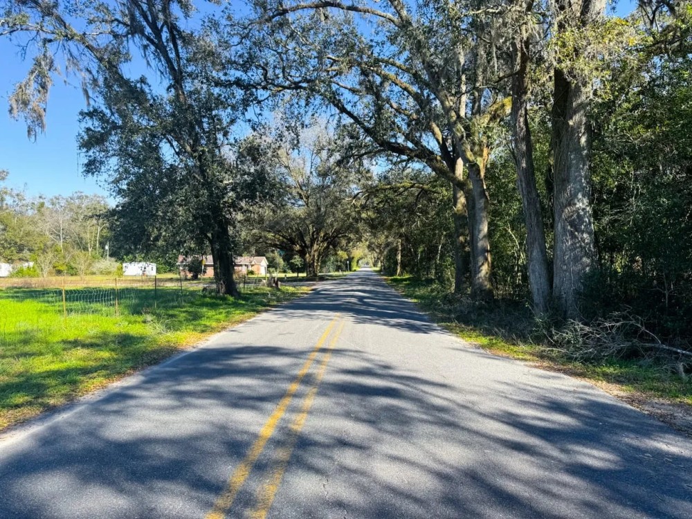 Avocado 23.5 Acres featured image