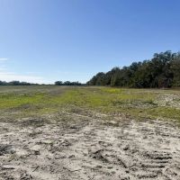 Avocado 23.5 Acres images 5