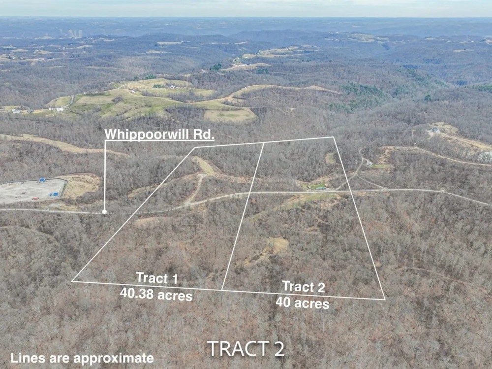 Auction - 80 acres - Monroe County featured image