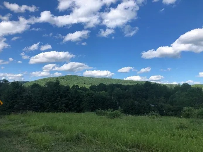 Waterfront Land Near Cooperstown featured image