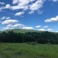 Waterfront Land Near Cooperstown
