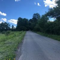 Waterfront Land Near Cooperstown images 2
