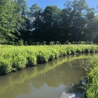 Waterfront Land Near Cooperstown images 3