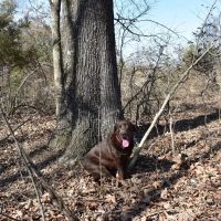 Caney Creek Lot