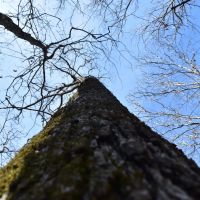 Caney Creek Lot images 3