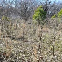 Caney Creek Lot images 4