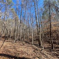 25 Acres in Wayne Co. TN