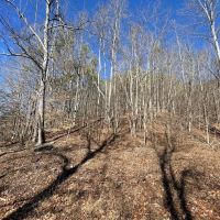 25 Acres in Wayne Co. TN images 5