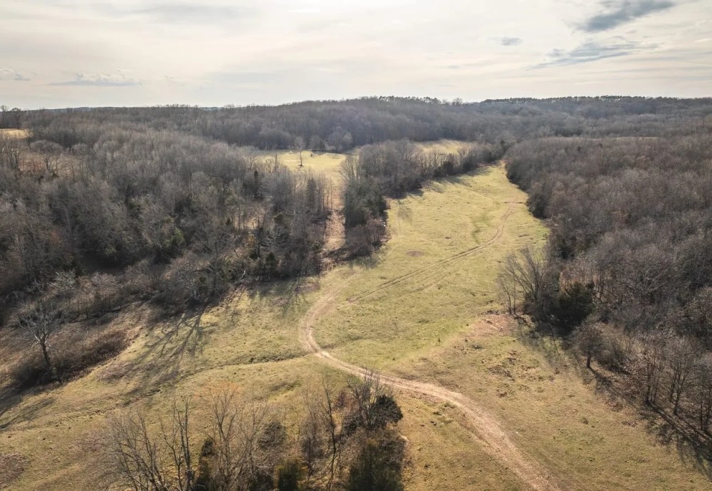 Bado Home and Acres featured image