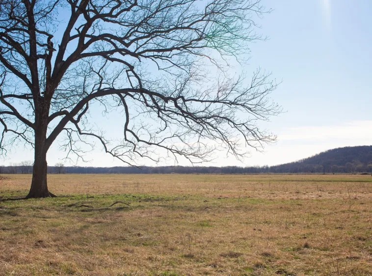 Caney River 113 Acres featured image