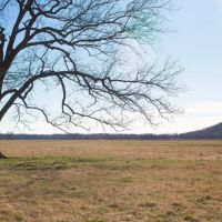 Caney River 113 Acres