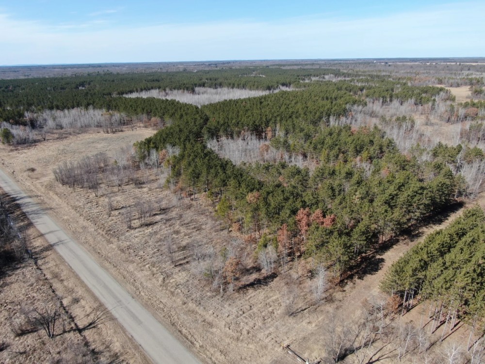 Nestled in Juneau County Wisconsin 200-acre tract of land featured image