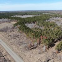 Nestled in Juneau County Wisconsin 200-acre tract of land