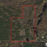 Nestled in Juneau County Wisconsin 200-acre tract of land images 2