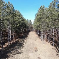 Nestled in Juneau County Wisconsin 200-acre tract of land images 3