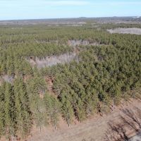 Nestled in Juneau County Wisconsin 200-acre tract of land images 4