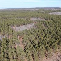 Nestled in Juneau County Wisconsin 200-acre tract of land images 5