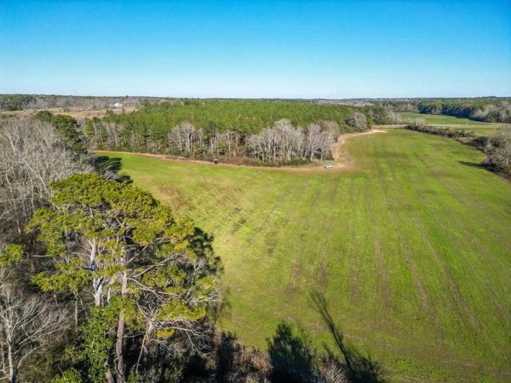 Land for sale in Jefferson Davis County featured image