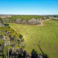 Land for sale in Jefferson Davis County