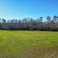 Land for sale in Jefferson Davis County images 2