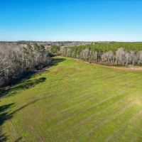 Land for sale in Jefferson Davis County images 5