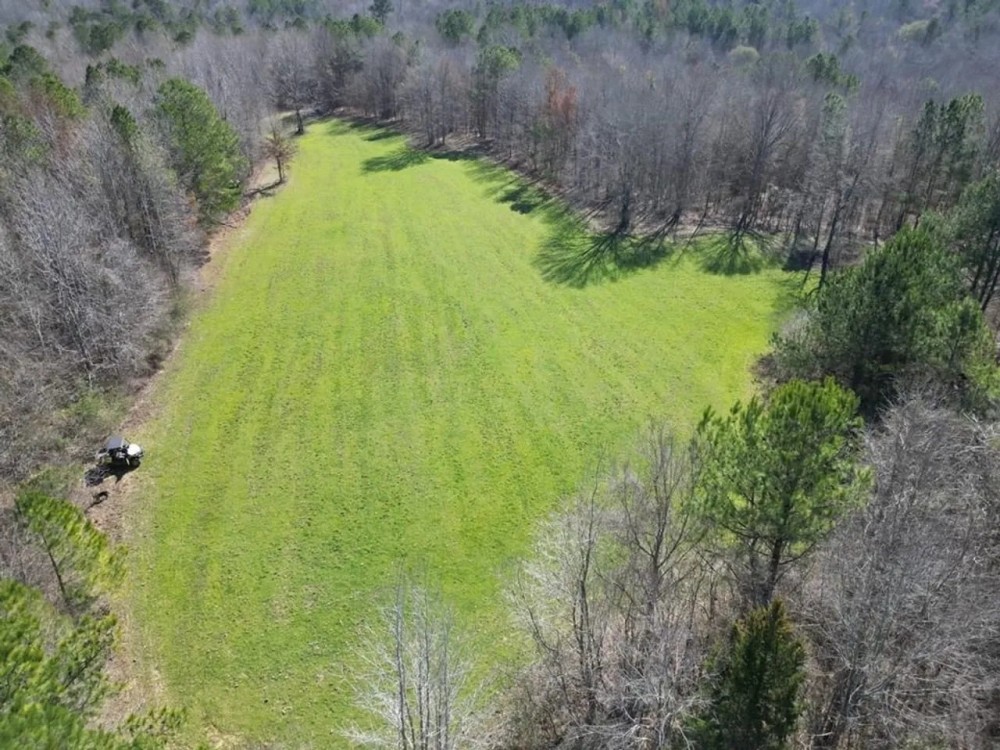 Hunting Land For Sale with Lodge in Franklin County MS featured image