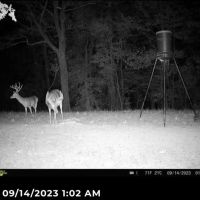 Hunting Land For Sale with Lodge in Franklin County MS images 5