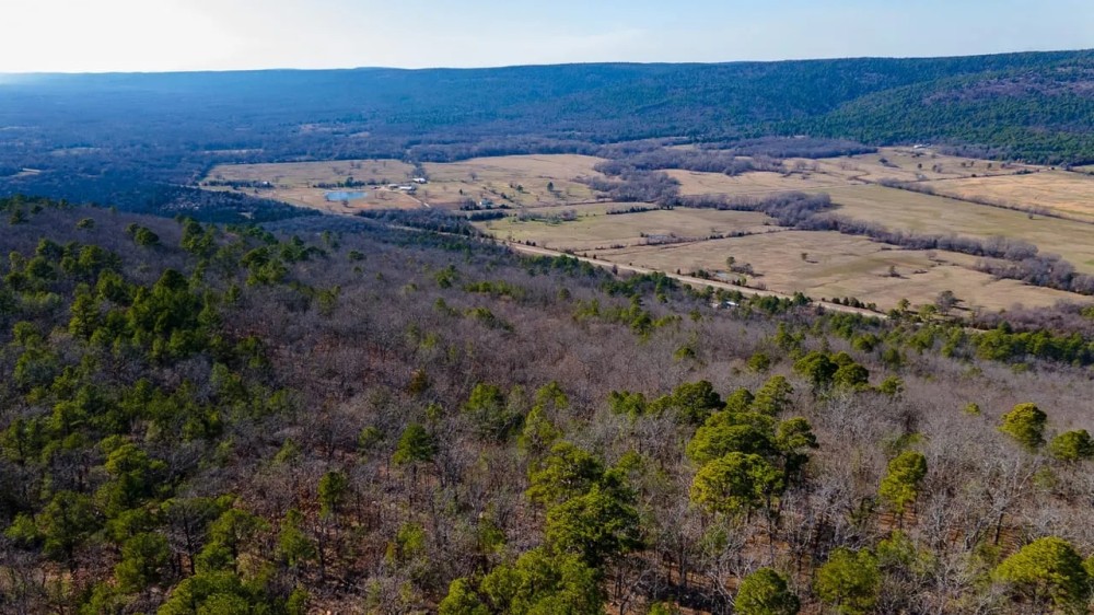Development or Hunting Opportunity Near Sardis Lake featured image
