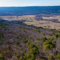 Development or Hunting Opportunity Near Sardis Lake images 1
