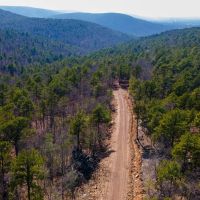 Development or Hunting Opportunity Near Sardis Lake images 2