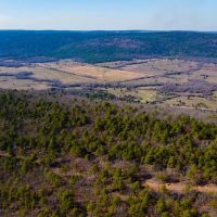 Development or Hunting Opportunity Near Sardis Lake images 3