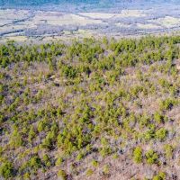 Development or Hunting Opportunity Near Sardis Lake images 4