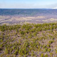 Development or Hunting Opportunity Near Sardis Lake images 5