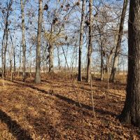 Tennessee Valley 15 images 2