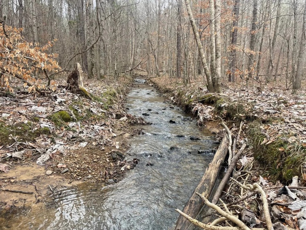 61 Acre Home and Timber Tract in Cullman Co. AL featured image