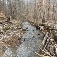61 Acre Home and Timber Tract in Cullman Co. AL