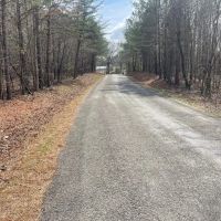 61 Acre Home and Timber Tract in Cullman Co. AL images 2