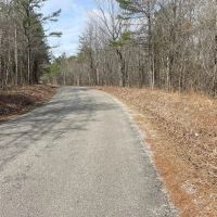 61 Acre Home and Timber Tract in Cullman Co. AL images 3