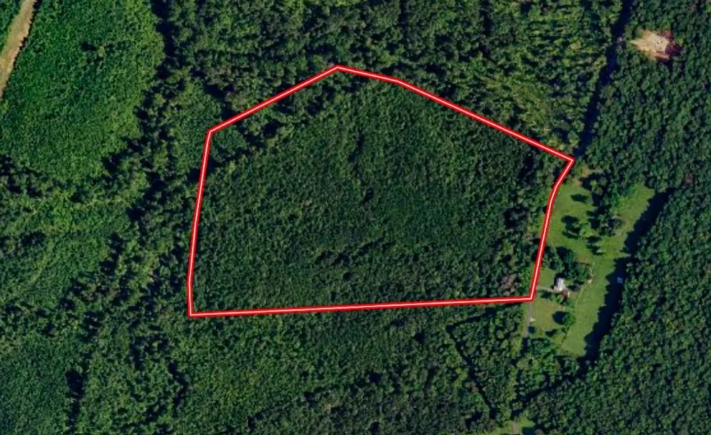 63.146 acres of Recreational Residential or Investment Land For Sale in Louisa County VA featured image