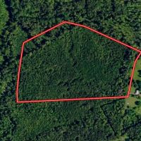 63.146 acres of Recreational Residential or Investment Land For Sale in Louisa County VA