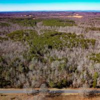 63.146 acres of Recreational Residential or Investment Land For Sale in Louisa County VA images 2