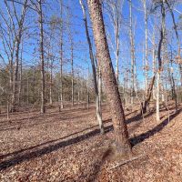 63.146 acres of Recreational Residential or Investment Land For Sale in Louisa County VA images 3