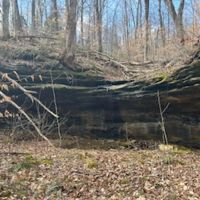 Land For Sale in Orange County IN 62 Acres - Near Patoka Lake images 3