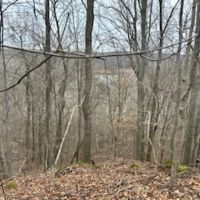 Land For Sale in Orange County IN 62 Acres - Near Patoka Lake images 4