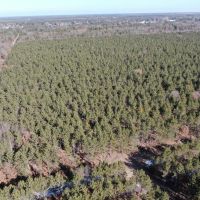 240 acre timber and hunting property for sale in Central Wisconsin