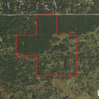 240 acre timber and hunting property for sale in Central Wisconsin images 2